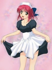 BUY NEW shingetsutan tsukihime - 5449 Premium Anime Print Poster
